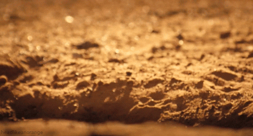 giphy (6).gif