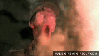 giphy (7).gif