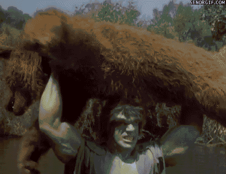 giphy (7).gif