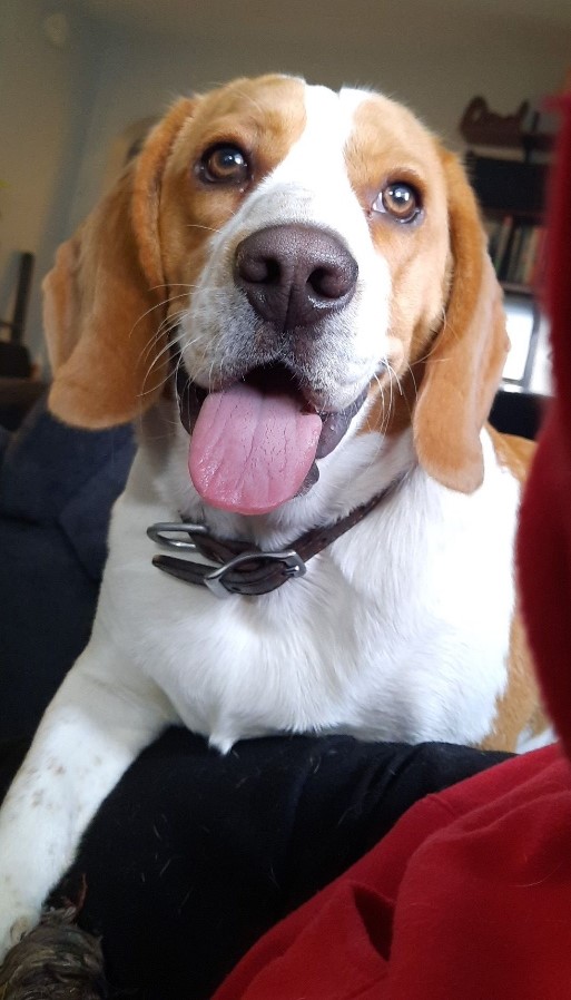goober 9 months.jpg