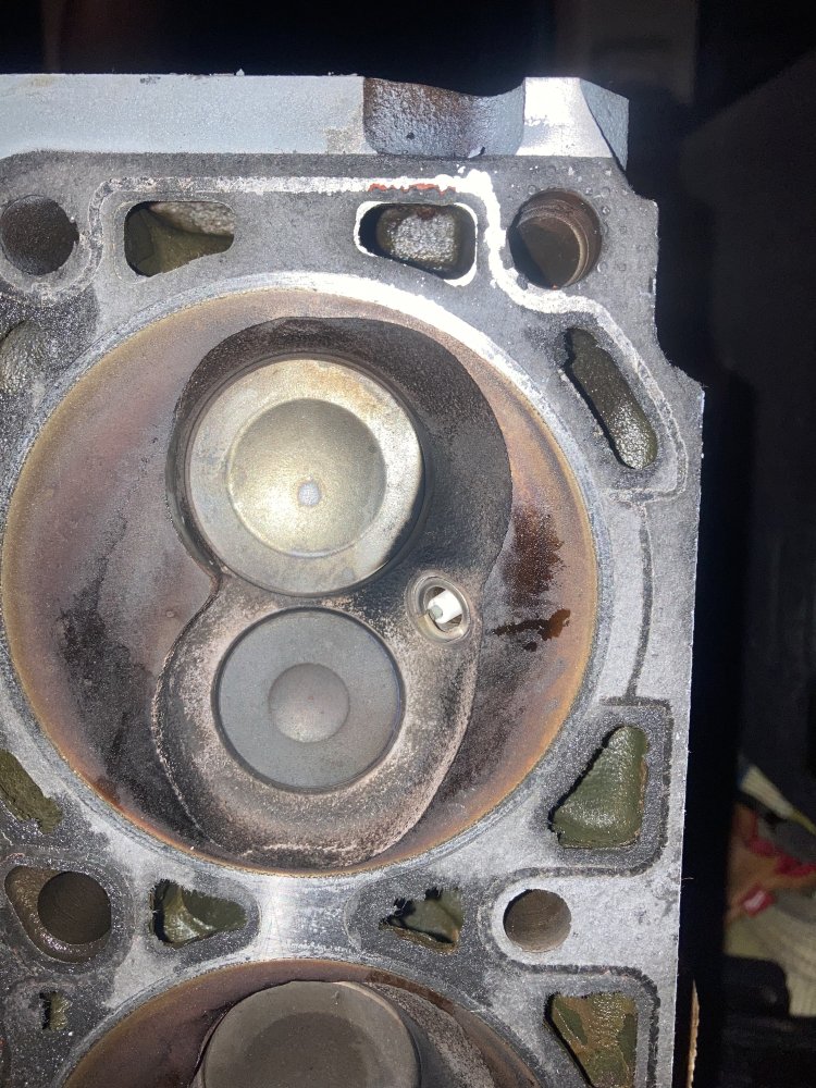 Head underside closeup.jpg