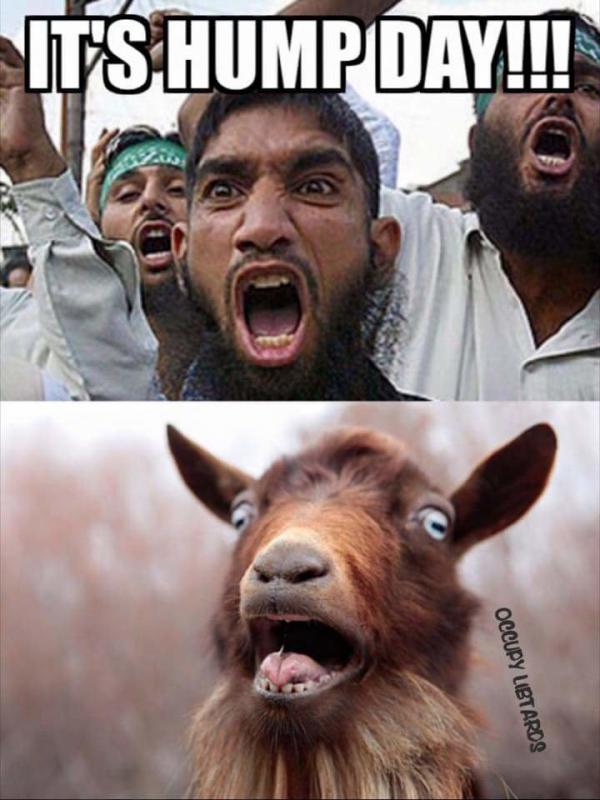 Hump+day+meanwhile+in+the+middle+east_fe0ddd_5693210.jpg