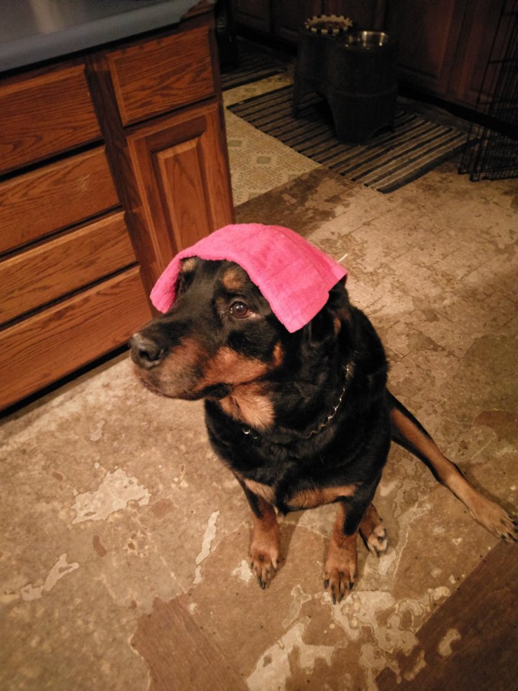 IMAG0203.jpg