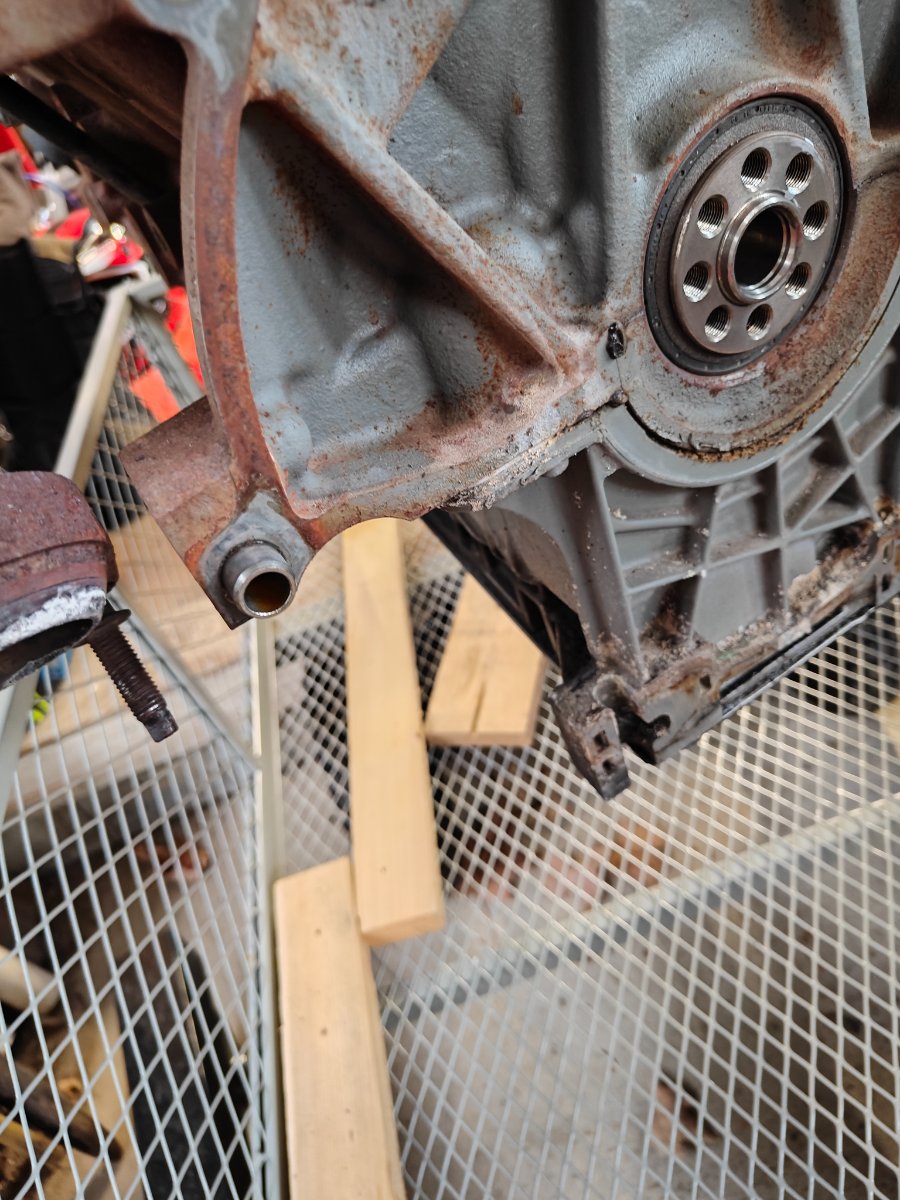 IMG20251028161847.jpg IMG20251028161847.jpg