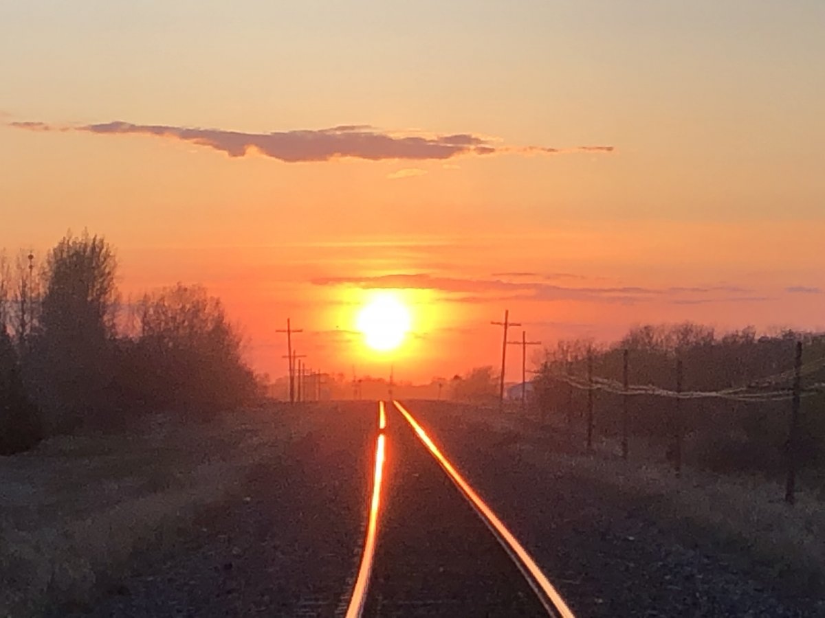 39784