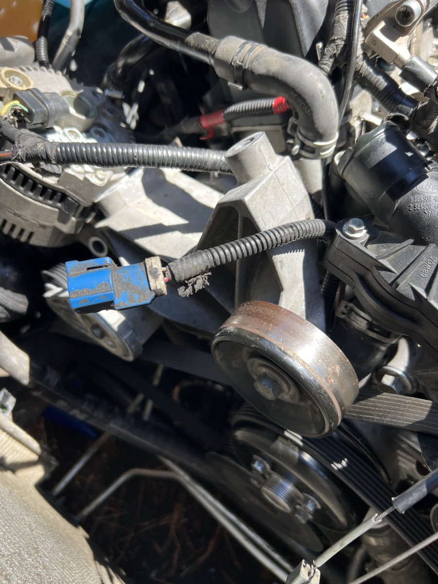 Mysterious Blue Plug