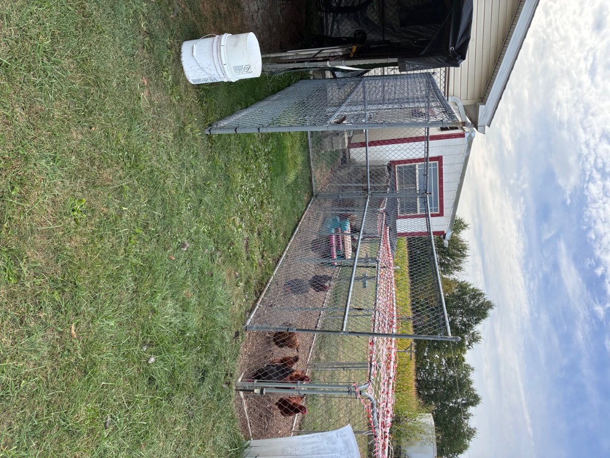 IMG_0854.jpeg