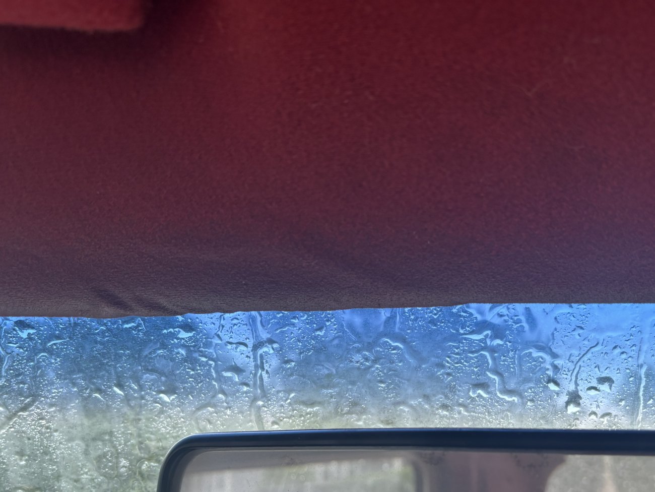IMG_1223.jpeg