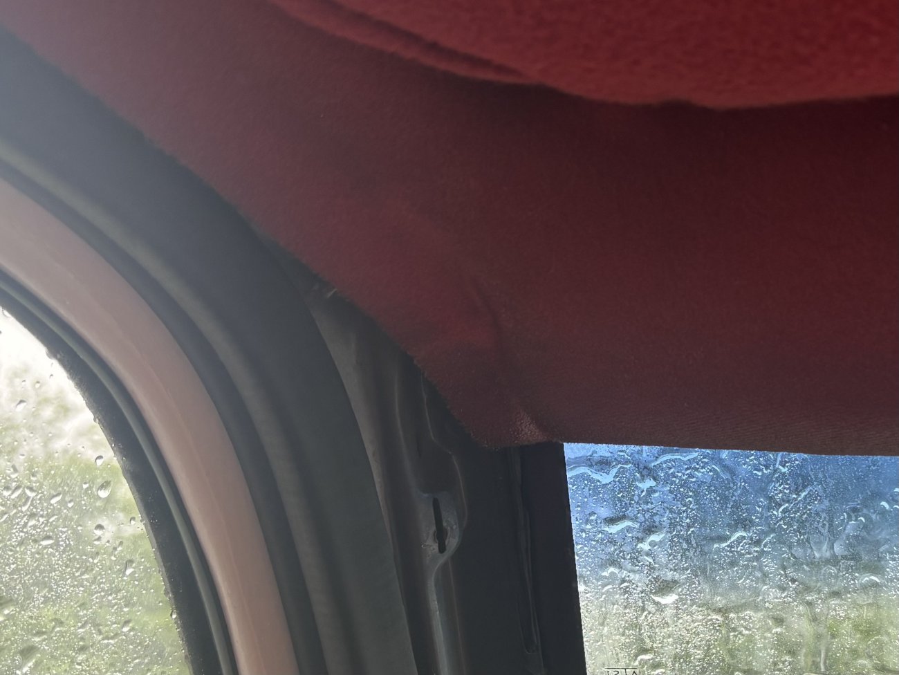 IMG_1224.jpeg