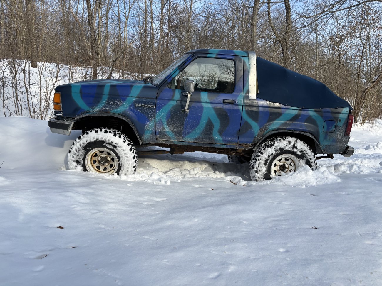 New AZ Member Bronco II
