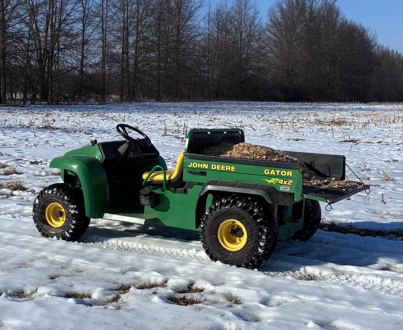 What did YOU do today?