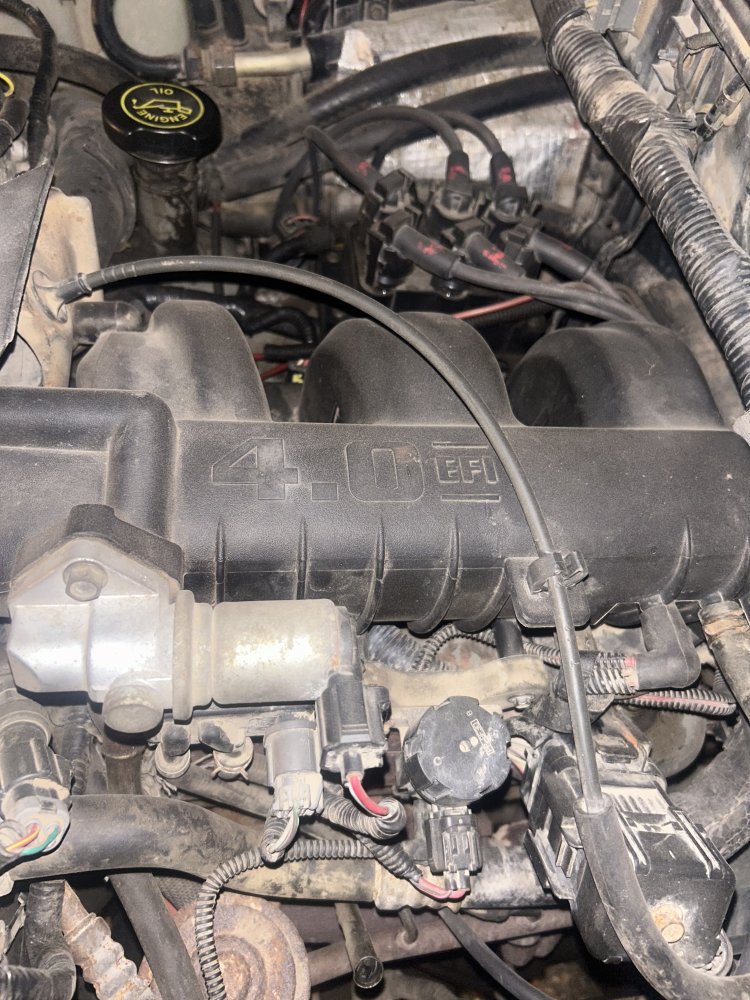 Ford 1995 4.0 timing chain