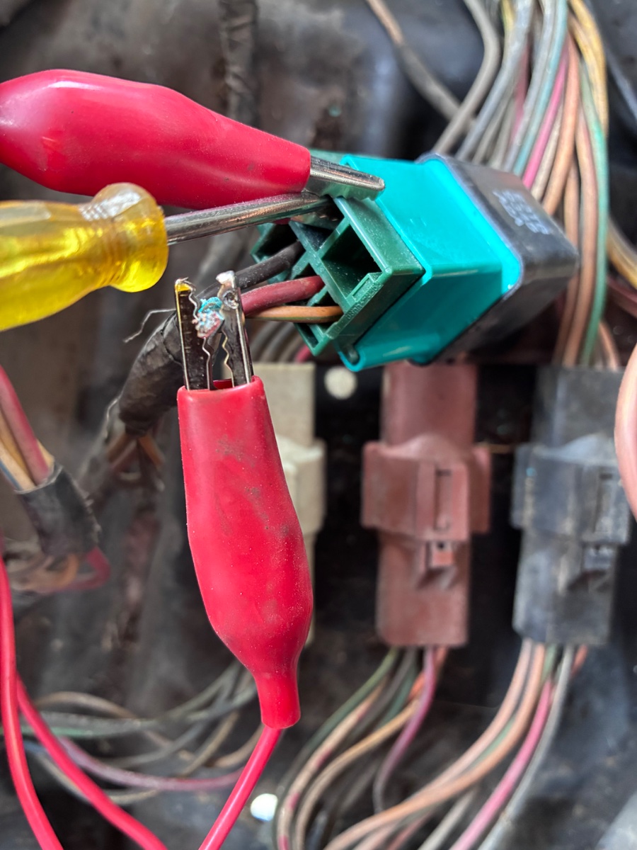 What did YOU do today?