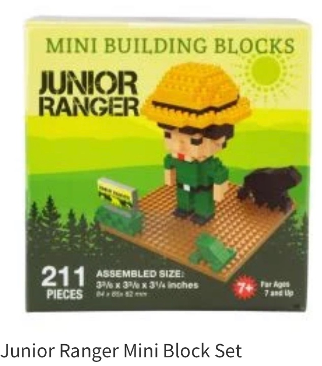 Hoarding/Junk addiction