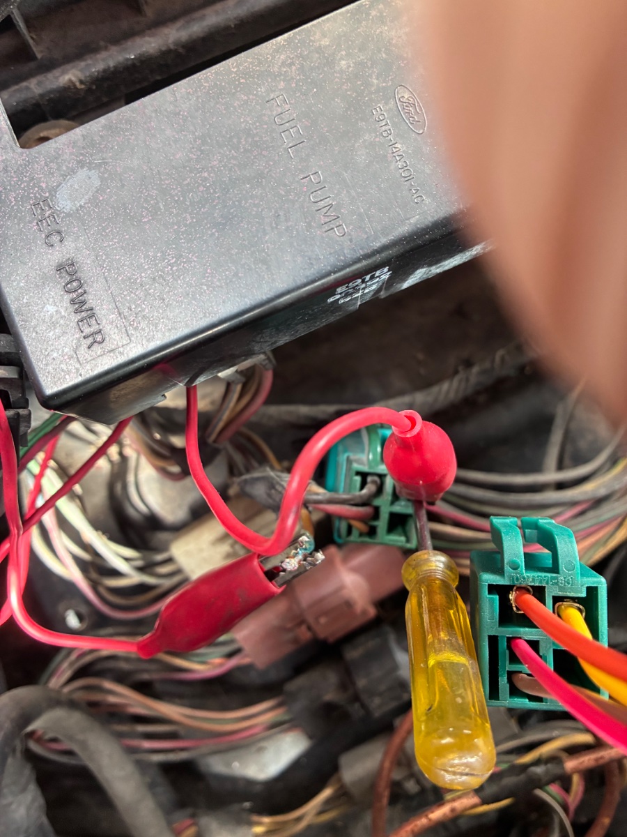 What did YOU do today?