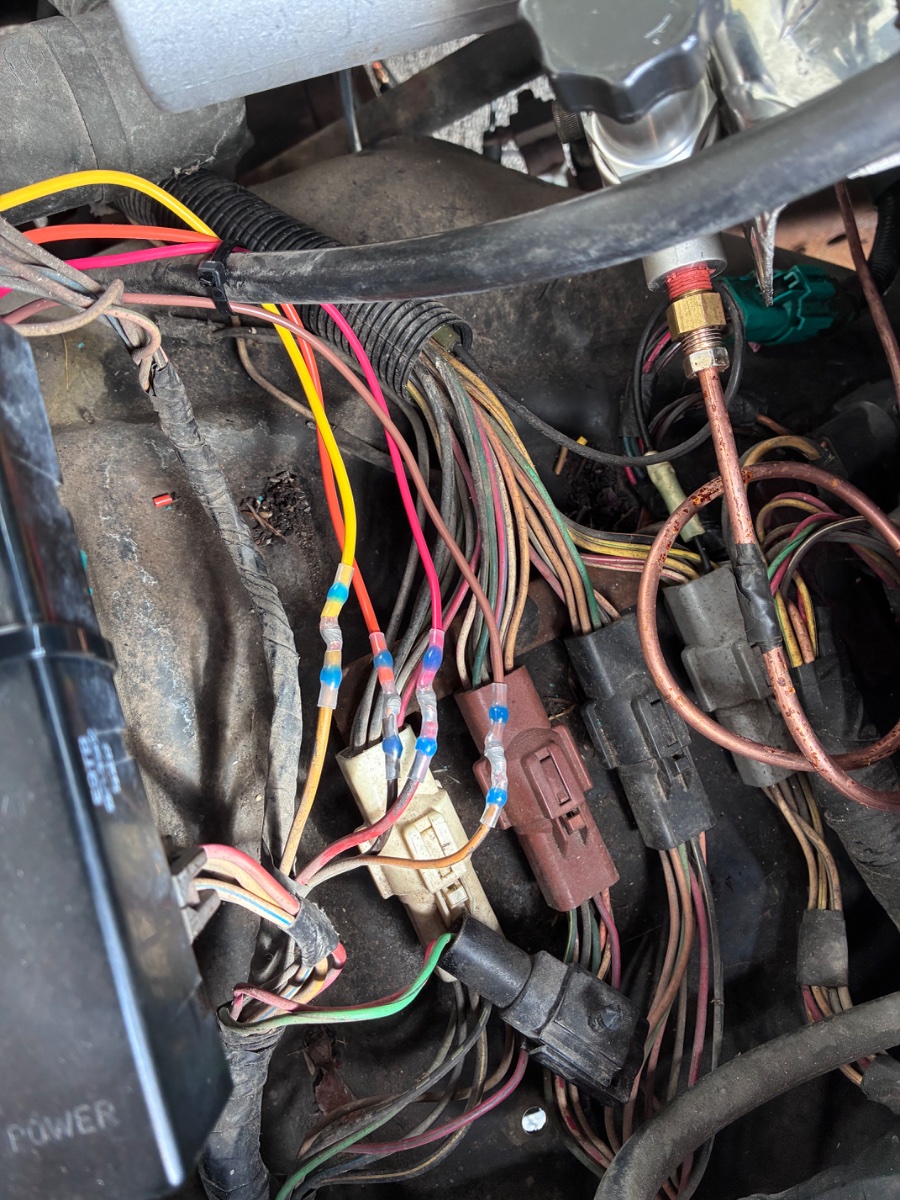 What did YOU do today?