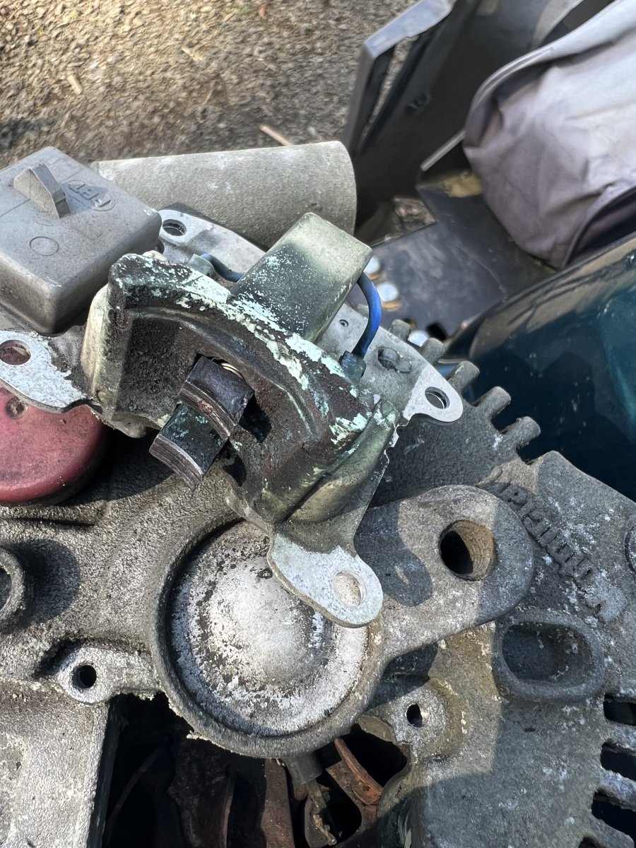 Working on bugs..advice please