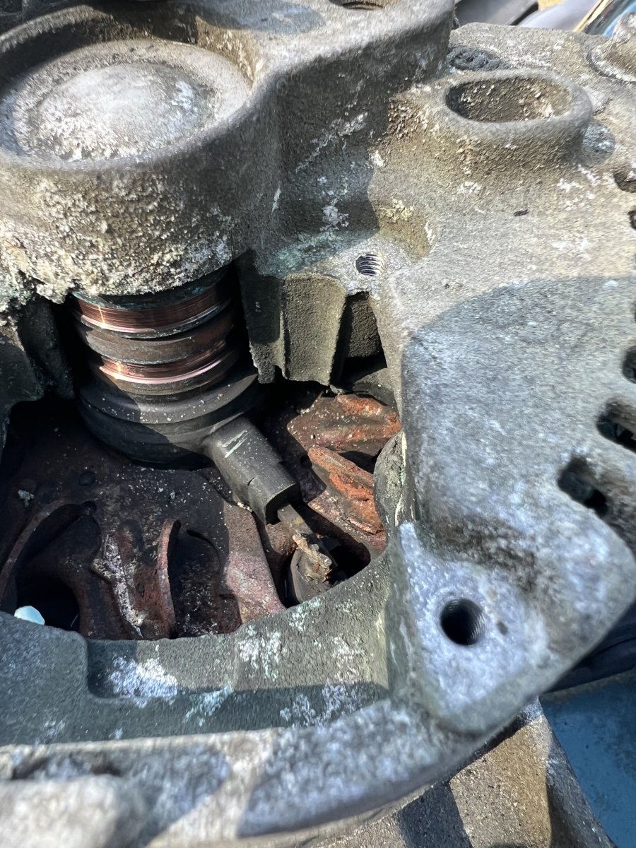 Working on bugs..advice please