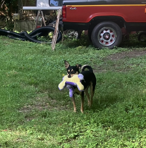 IMG_1963.jpeg