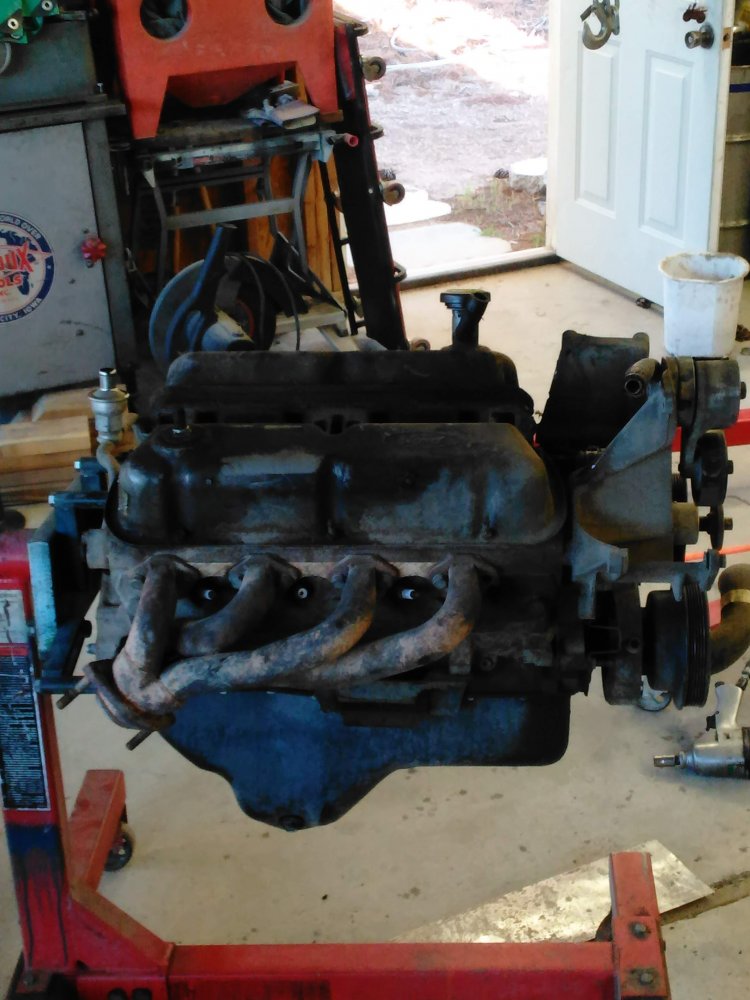 46459