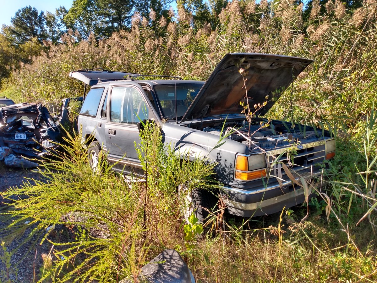 IMG_20220923_164559780_HDR.jpg