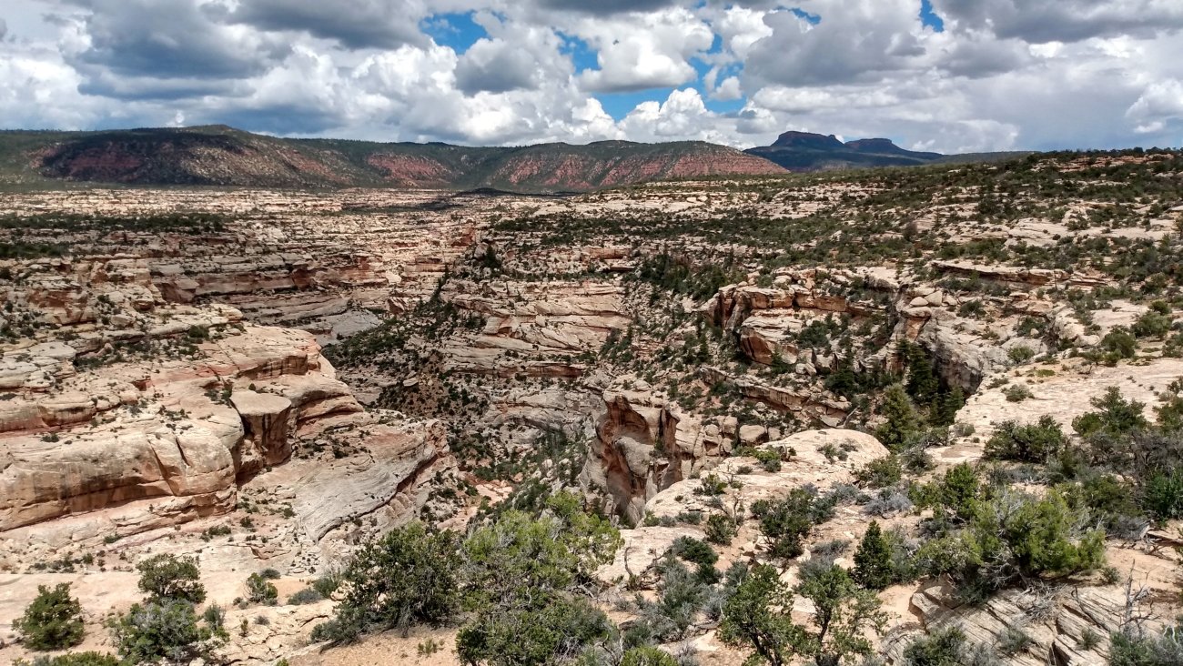 IMG_20230523_143710355_HDR~2.jpg