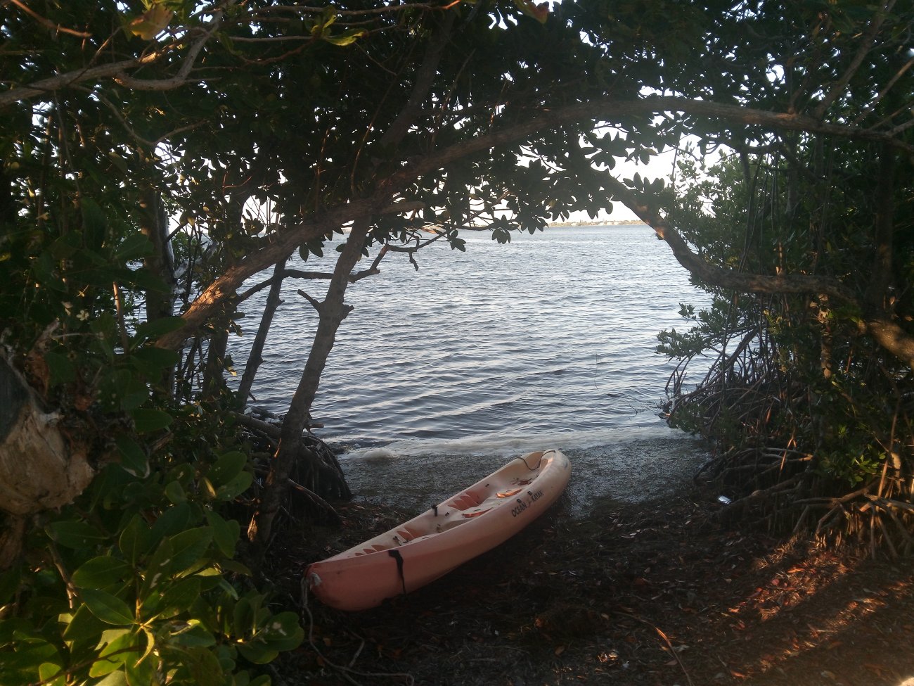 IMG_20250520_071334275.jpg