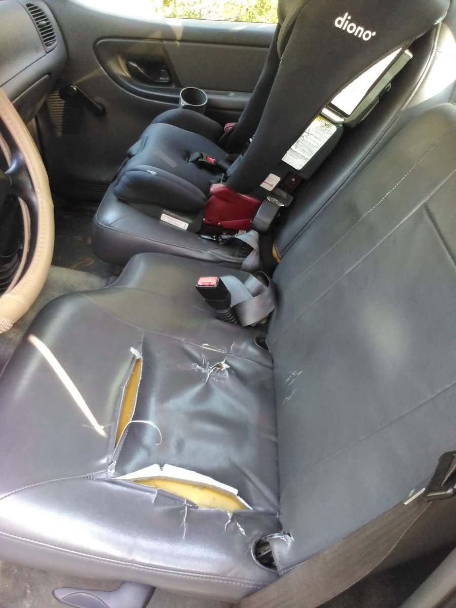Old '88 Bench Seat in '03 B2300 Standard Cab - Will it fit?