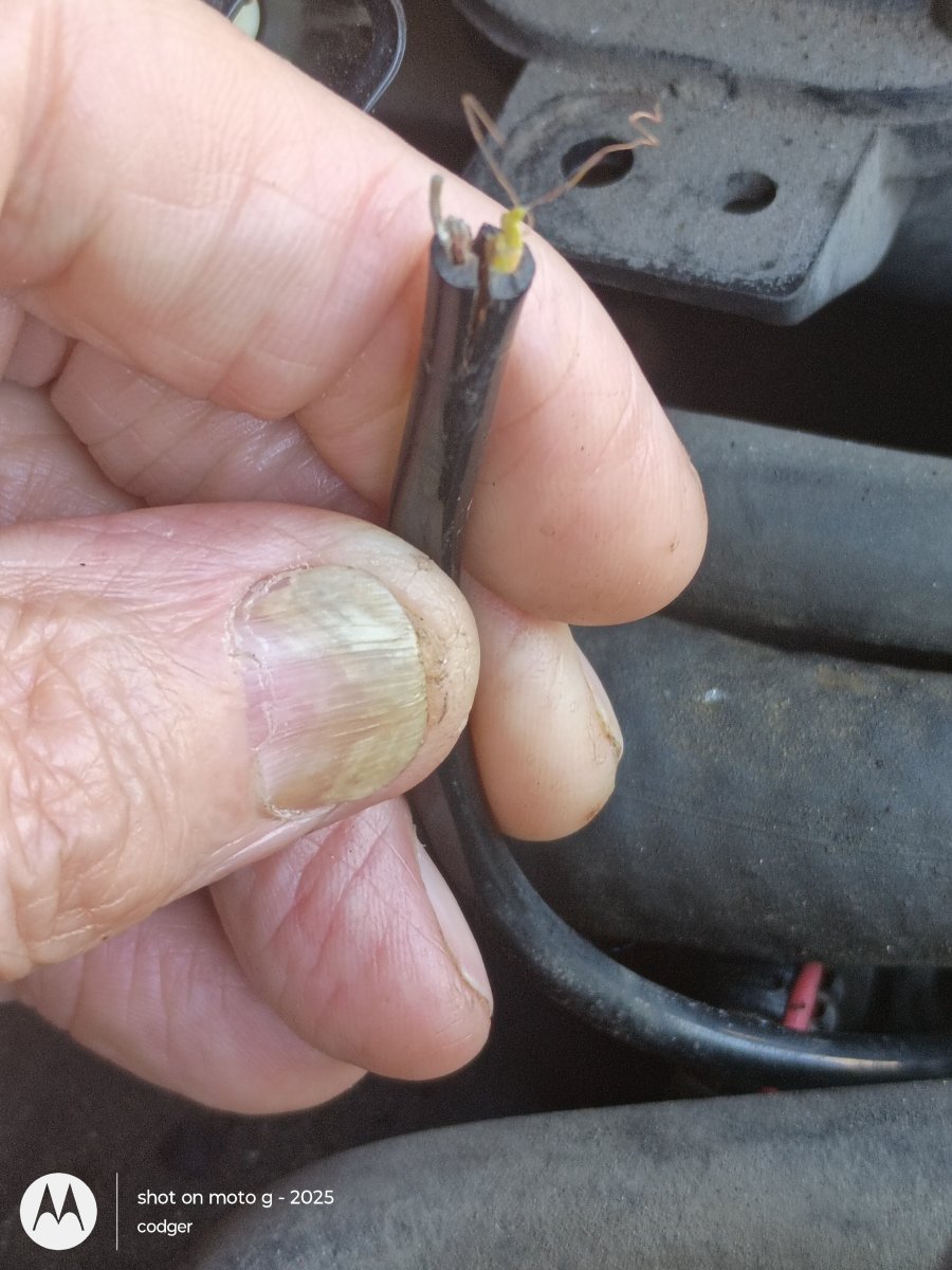 stuck cooling fan clutch removal
