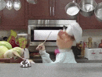 IMG_2253.gif