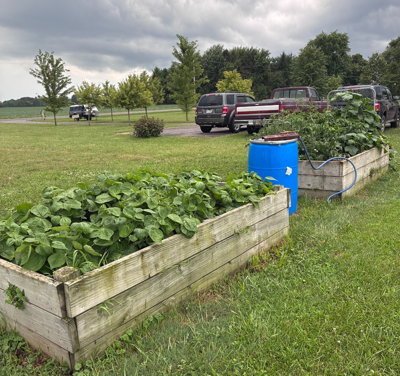Farm and Garden
