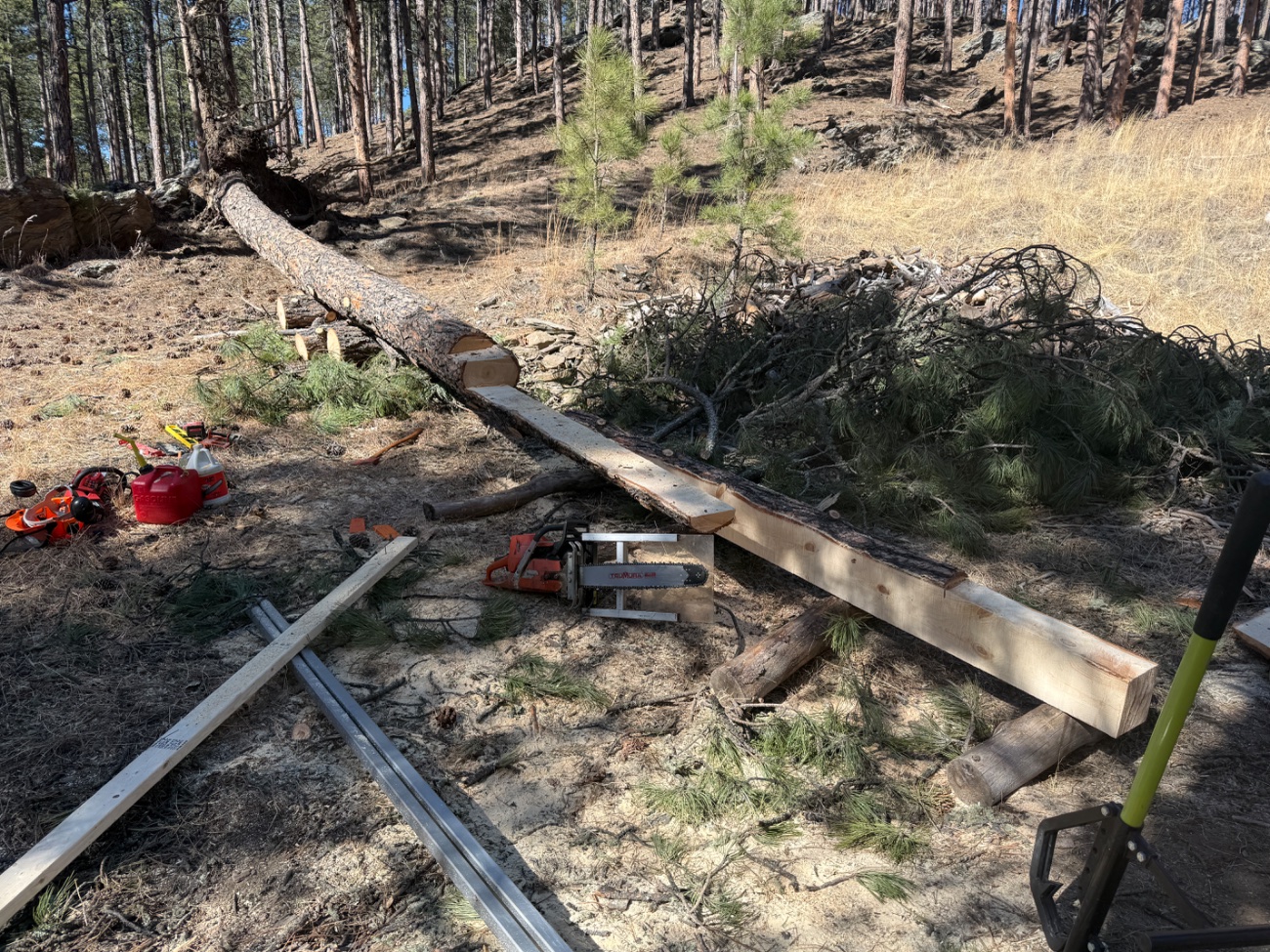 What did YOU do today?