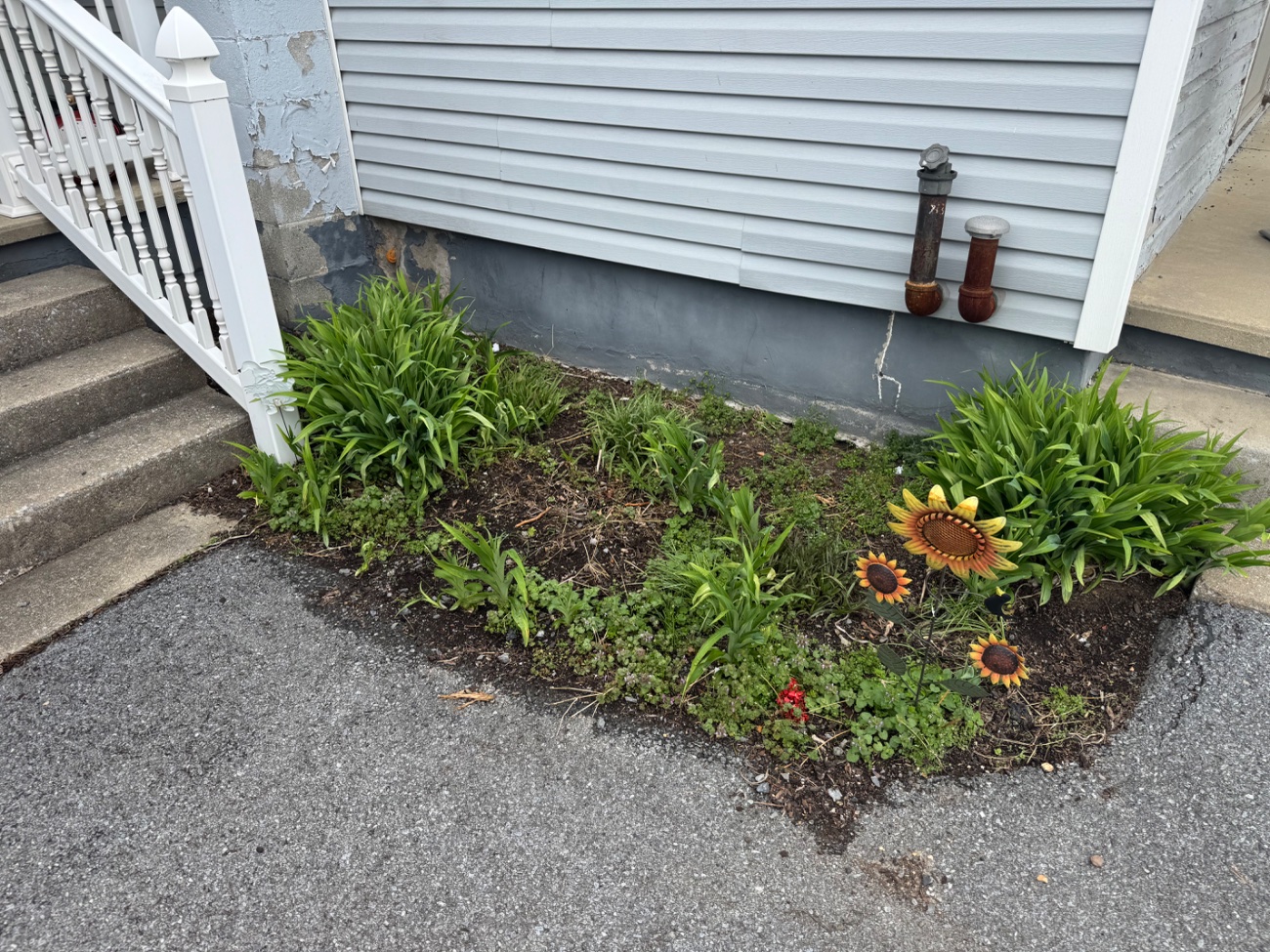 What did YOU do today?