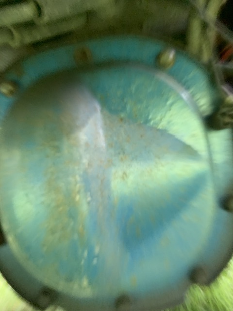 IMG_2684.jpeg