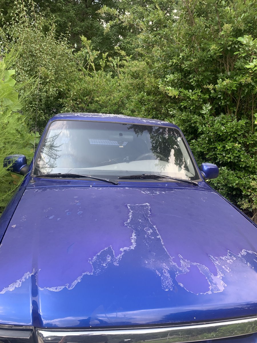Attempting to save my paint