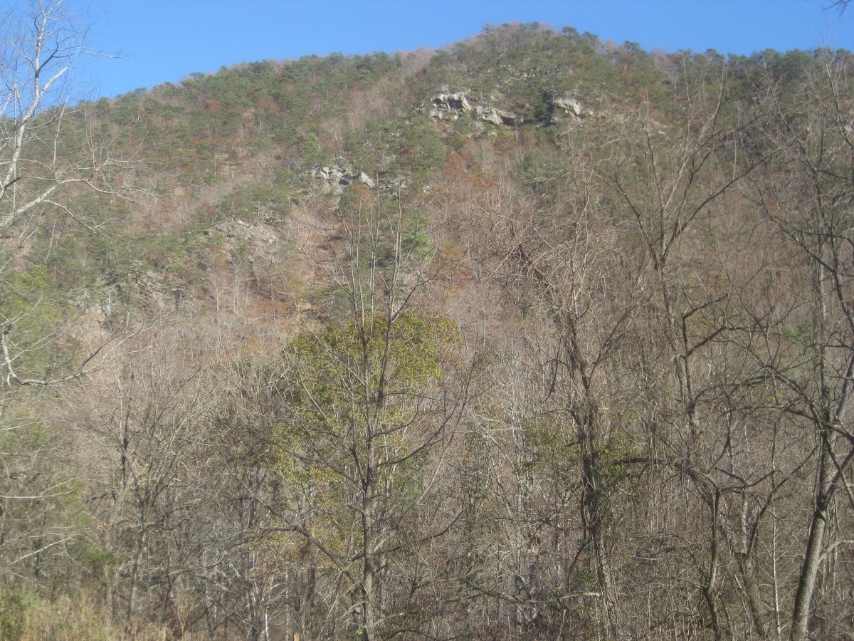 IMG_3381.JPG