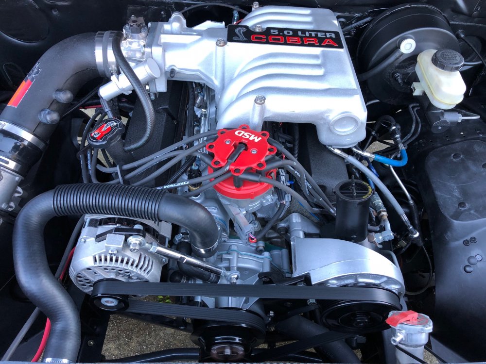 25449