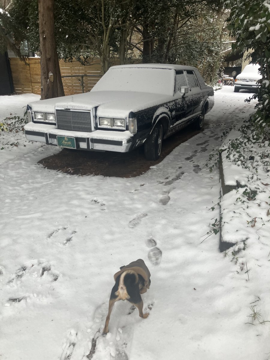 IMG_3610.jpeg