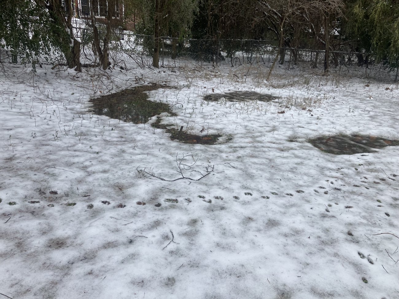 IMG_3645.jpeg