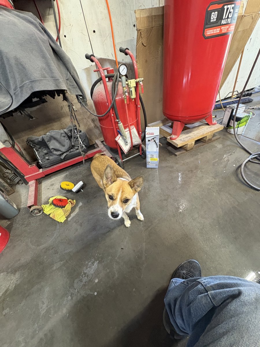 IMG_3668.jpeg