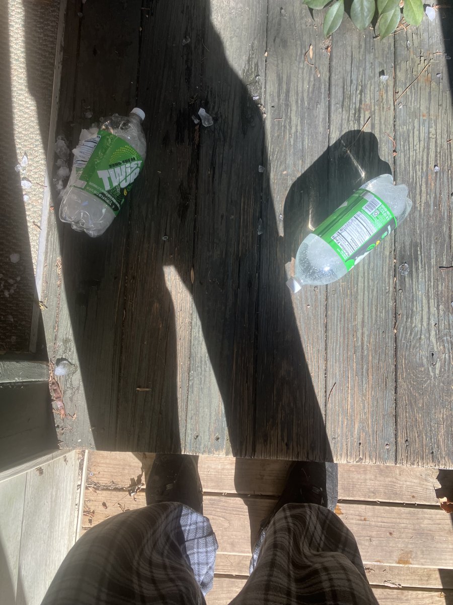 IMG_3737.jpeg