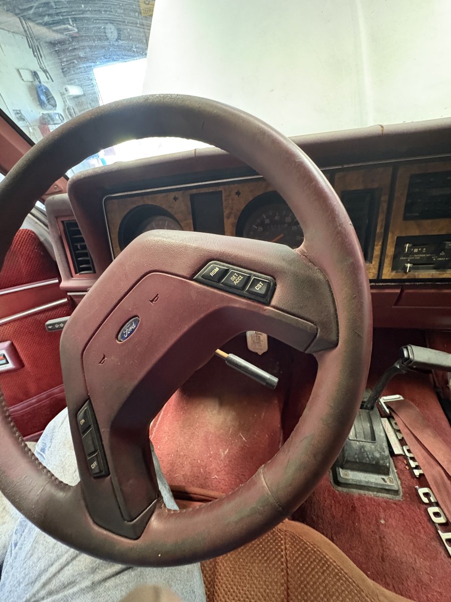 IMG_3782.jpeg