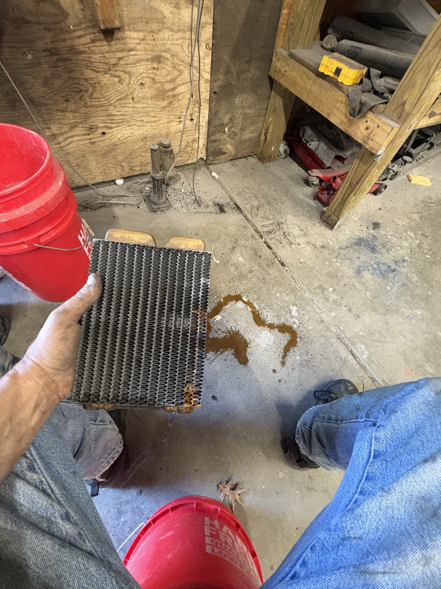 IMG_3792.jpeg