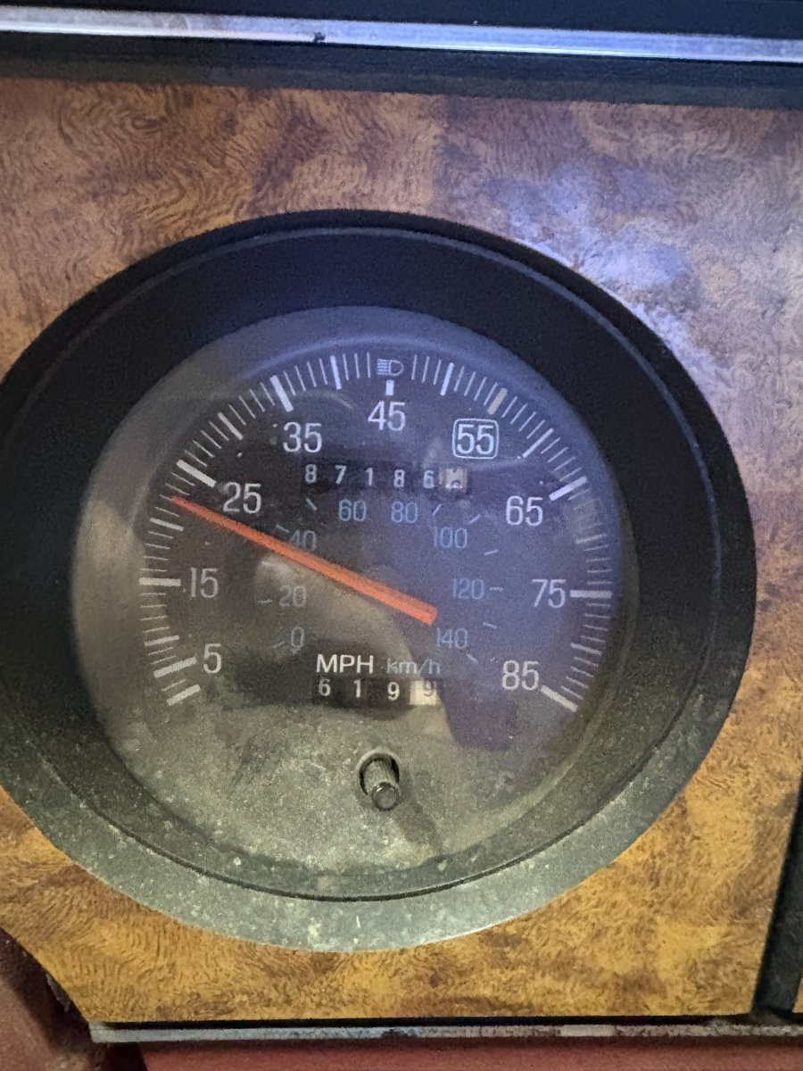 IMG_3850.jpeg