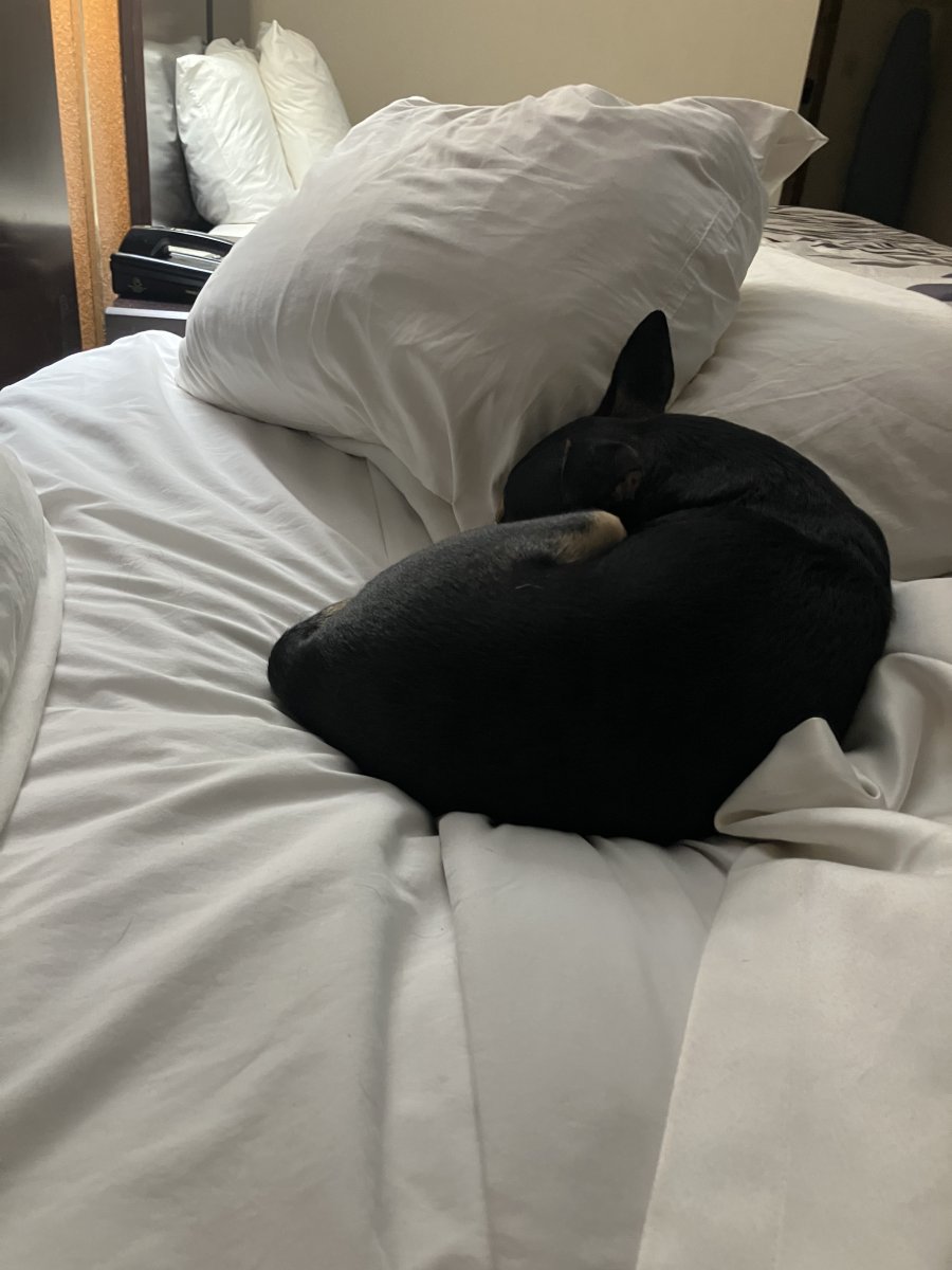 IMG_4568.jpeg