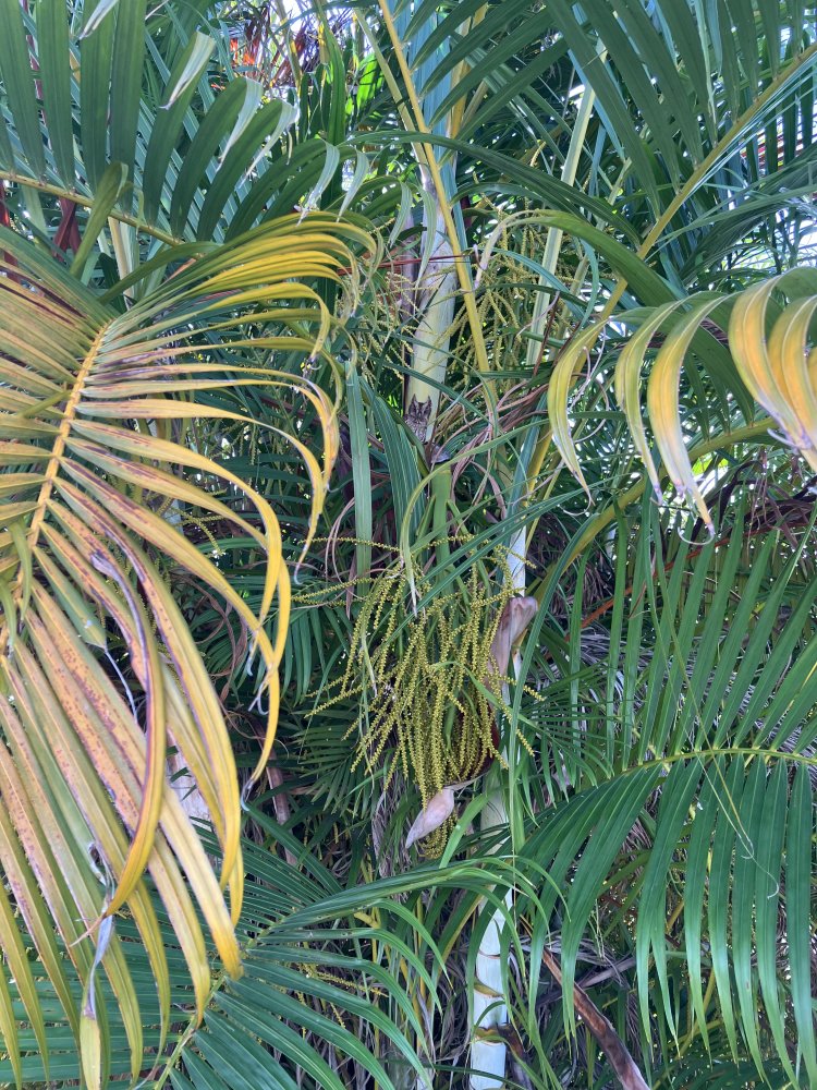IMG_6126.jpeg