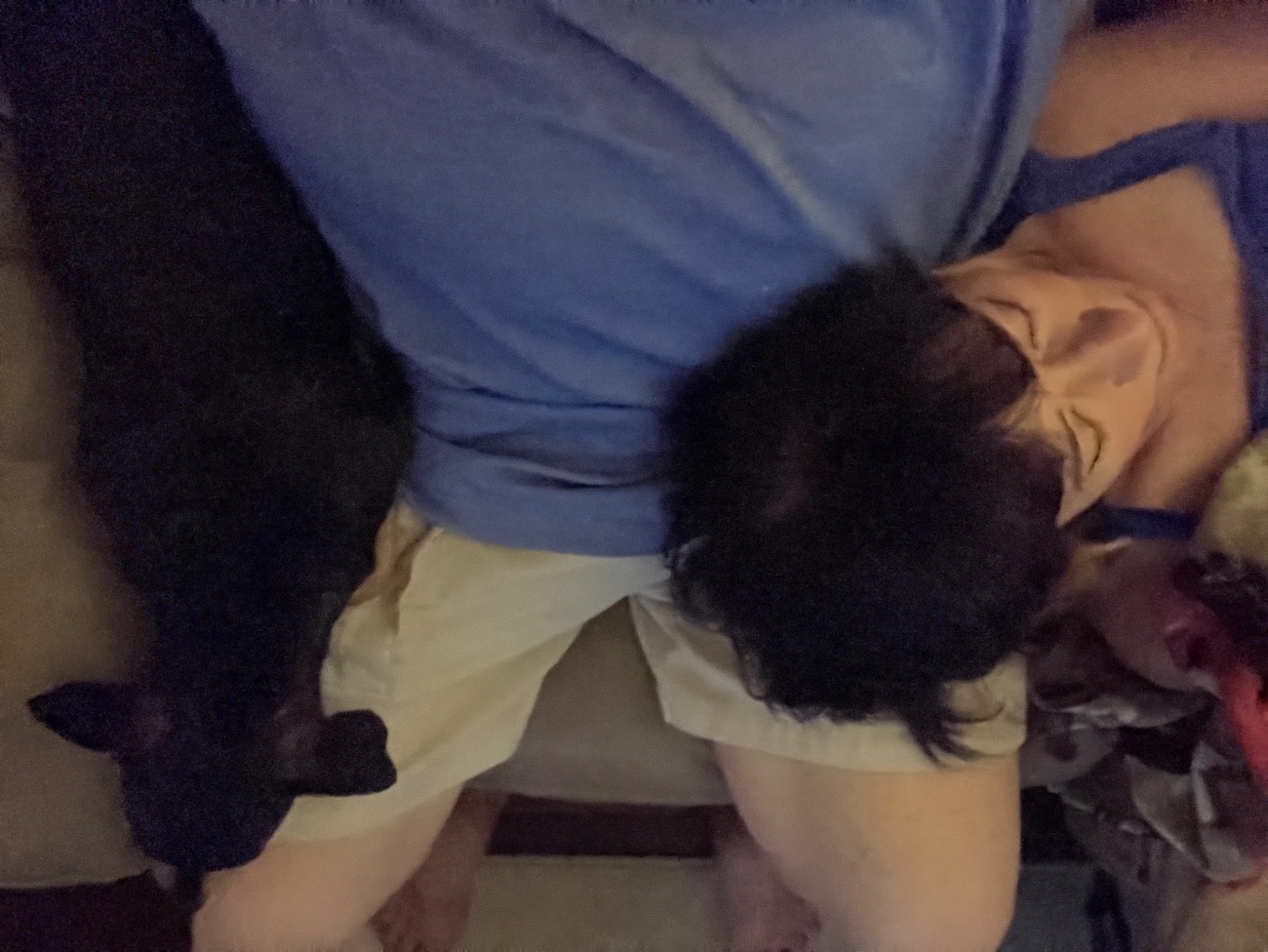 Reflections, thanks and rebirth