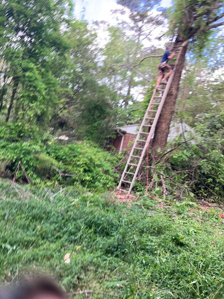 Reflections, thanks and rebirth