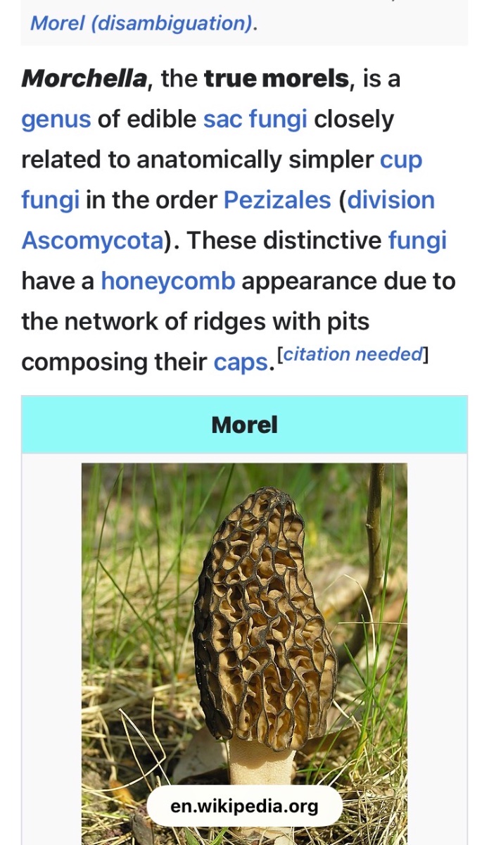 What did YOU do today?