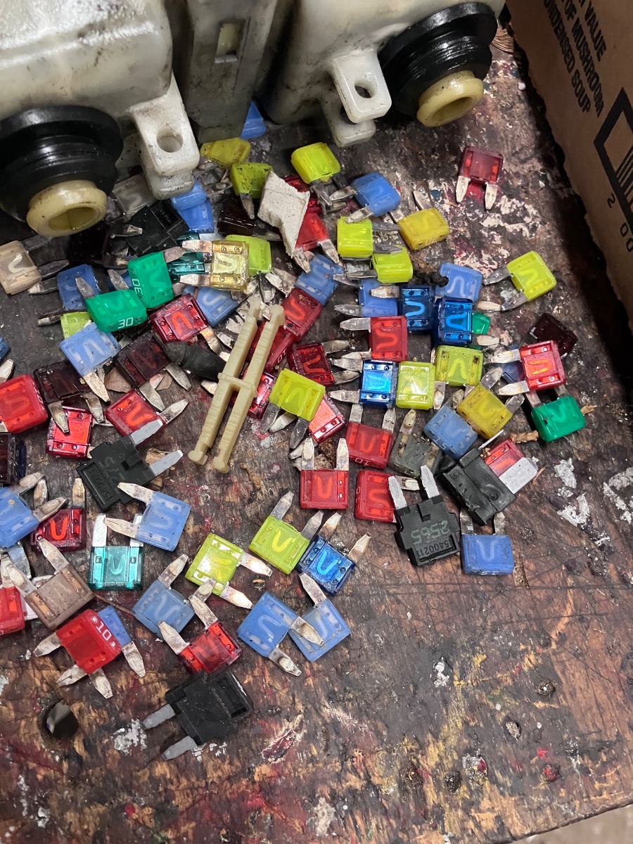 What did YOU do today?